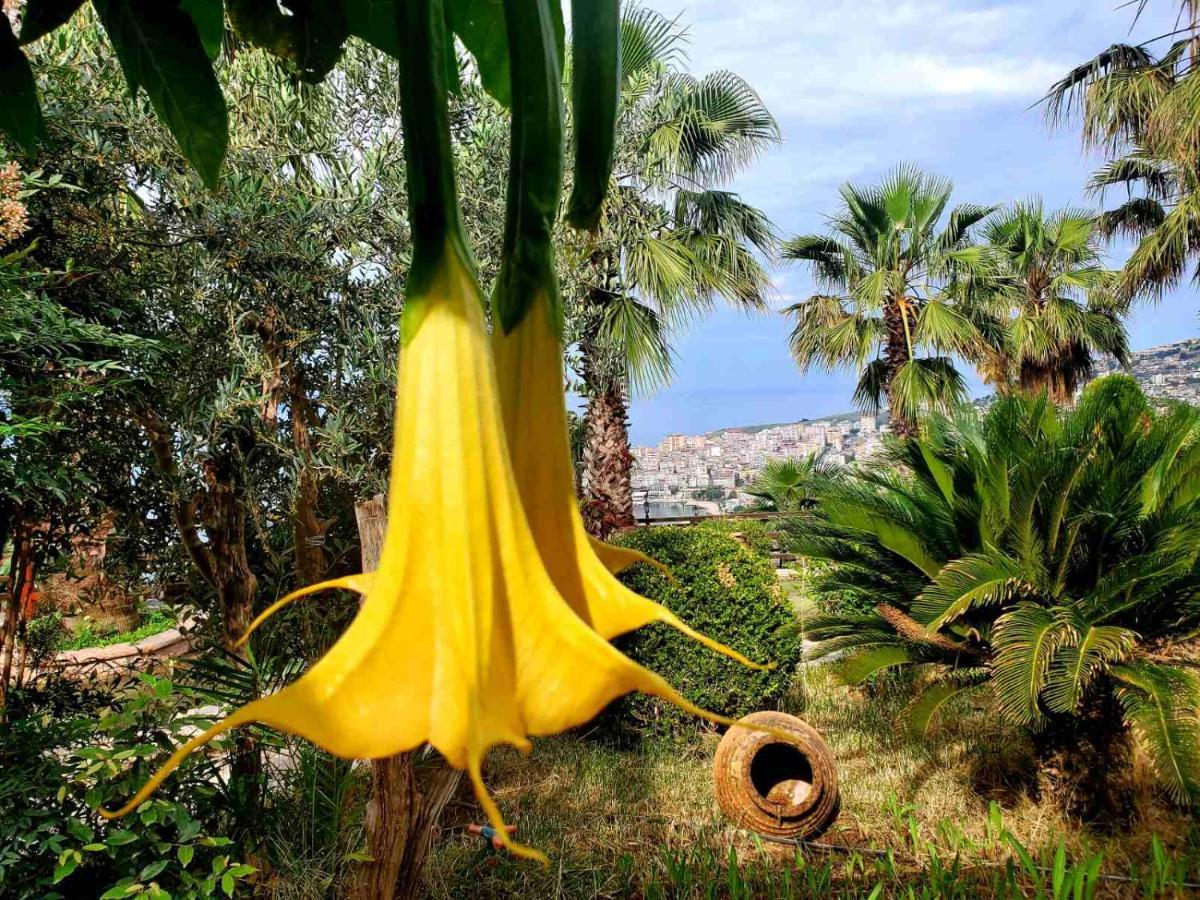 Villa Kristiano 21 Sarandë 外观 照片